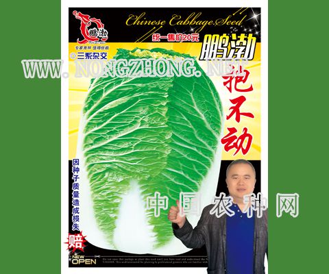 鹏渤抱不动